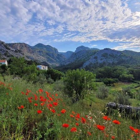 ستاريغغاد باكلينتسا Apartments Paklenica المظهر الخارجي الصورة